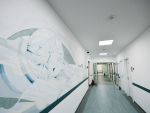 Romania, te iubesc : Ancheta despre sutele de milioane risipite de spitalele romanesti