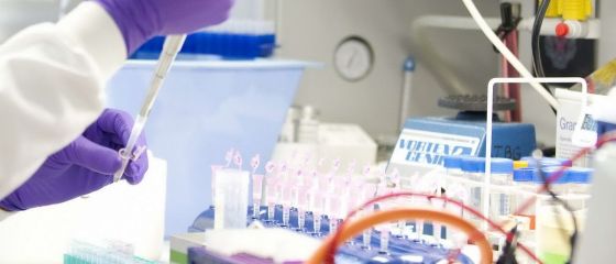 Premiera mondiala. Un organ complet functional, creat in corpul unui animal viu