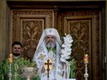 Patriarhia Romana, impotriva finantarii cercetarii pe embrioni umani
