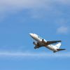 Noul proprietar al Blue Air a prezentat strategia de dezvoltare a companiei. Cum vrea sa redreseze operatorul aerian