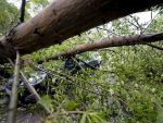 29 de localitati din 16 judete au fost afectate in urma vijeliei de joi