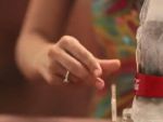 Coca-Cola lanseaza pe piata sticla de gheata