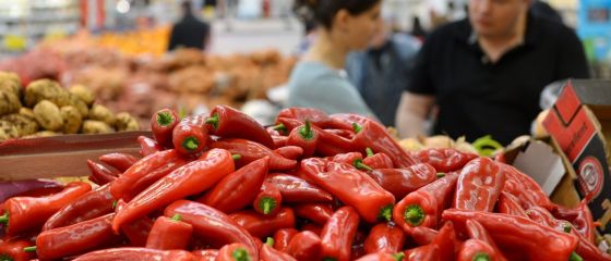 Preturile in Romania au crescut mai mult ca in statele cu economii dezvoltate. Tara noastra a inregistrat cea mai ridicata inflatie din UE