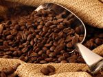 Milionari din cafea. Cum a luat nastere averea familiei De rsquo;Longhi