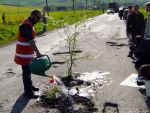 Sova: CNADNR are nevoie de 4 mld. euro ca sa astupe gropile. Din rovinieta se strang de peste 20 de ori mai putin