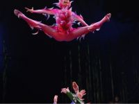 O acrobata a Cirque du Soleil a murit dupa ce a cazut in timpul unui spectacol