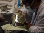 Stomatologii din Romania vor avea mai multi pacienti. Preturile lor sunt si la jumatate fata de UE. Vor creste insa odata cu introducerea frezelor unice