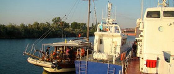 33 de migranti irakieni, prinsi dupa ce au intrat ilegal in tara