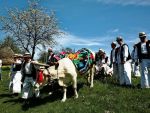 Proiectul francez Cele mai frumoase sate ar putea fi derulat si in Romania