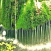 O cascada din Romania a fost declarata cea mai frumoasa din lume. De 20 de ani, in zona nu s-a facut nicio investitie