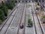 Grecia, paralizata, marti, de greva functionarilor publici. Transportul public nu functioneaza