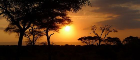 Povestea remarcabila a tanarului care face milioane de dolari din soarele Tanzaniei