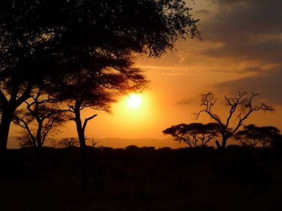 Povestea remarcabila a tanarului care face milioane de dolari din soarele Tanzaniei
