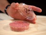 Olandezii au lansat primul burger creat in vitro, din celule stem de vaca. Pret: 250.000 de euro