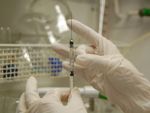Medicii ies in strada, in septembrie si octombrie, pentru salarii mai mari
