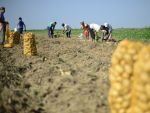 Fermierii pot sa solicite acreditarea Ministerului Agriculturii pentru aderarea la fondurile mutuale