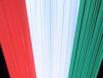 Liderul Partidului Miscarea pentru Ungaria: Daca apararea drepturilor maghiarilor inseamna conflict cu Romania, ne asumam asta . Reactia MAE