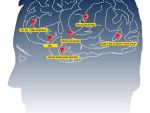 Cum afecteaza GPS-ul modul in care gandim. Device-urile moderne duc la atrofierea unor functii din creier