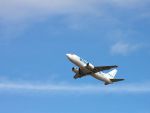 Noul proprietar Blue Air a primit licenta de operator aerian