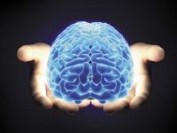 Reusita fara precedent: oamenii de stiinta au creat un mini-creier uman