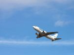 Povestea celui mai greu moment din istoria Blue Air