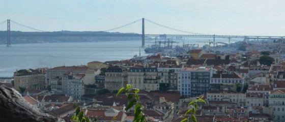 Portugalia spune NU ultimei transe de 2,6 mld euro din programul de asistenta de 78 mld. euro