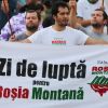 Traian Basescu vrea referendum pentru Rosia Montana, simultan cu alegerile europarlamentare. Reactia premierului