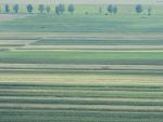 Preturile terenurilor agricole au urcat cu 60% in doi ani, dar raman de 2-8 ori mai mici decat in UE