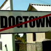 Afacerea Dog Town. Ce legatura exista intre fondatorii celui mai mare adapost de caini si primarul Sorin Oprescu