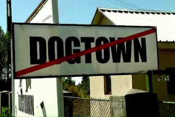 Afacerea Dog Town. Ce legatura exista intre fondatorii celui mai mare adapost de caini si primarul Sorin Oprescu