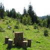 Inspectorul Vacanta . Locul din Romania care ameteste turistii cu frumusetea lui, desi nu e promovat: Este ca o mica Austrie