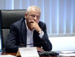 Referendumul de 6 mil. lei in cazul eutanasierii cainilor maidanezi, aprobat. 72% dintre bucuresteni ar vota pentru