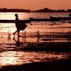 Sfarsit de vacanta la granita dintre Dunare si mare. Sulina, locul in care aerul cosmopolit al orasului se imbina cu salbaticia Deltei