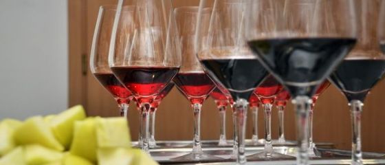 Rusia interzice importurile de vin din Republica Moldova. Nu avem de gand sa fim dadaca economiei moldovenesti