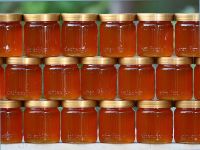 
	Miere nu tocmai de albine. Desi o exportam cu succes in Europa, 10% din mierea vanduta la raft in Romania e falsificata
