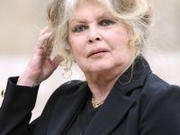 Brigitte Bardot si Pamela Anderson cer interventia presedintelui CE in Romania, pe tema cainilor