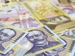 Invinsi de criza: aproape 120 de afaceri ale tinerilor debutanti au fost radiate