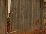 Nivelul foametei continua sa scada in lume. Africa, cea mai afectata