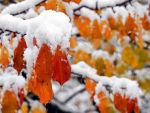 ANM: Temperaturi deosebit de scazute intre 2 si 5 octombrie. De luni, vremea se incalzeste la 20 grade