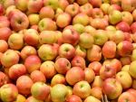 Rusia interzice importurile de fructe si legume din Polonia
