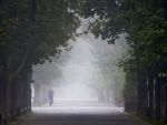 Avertizare cod galben de ceata in opt judete din nordul, centrul si estul tarii