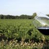Produsele Made in Romania merg tot mai mult la export. Cine sunt strainii innebuniti dupa pufuleti, eugenii sau vinurile romanesti