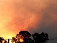 Incendii de proportii devasteaza sute de case in apropiere de Sydney