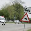 Baza Deveselu intra pe harta militara a lumii. Au inceput lucrarile de constructie la scutul antiracheta. Pentagonul, in topul investitorilor straini din Romania