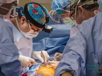 Numarul donatorilor de organe a ajuns la 115, cel mai mare din istoria transplantului romanesc