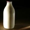 Zeci de mii de fermieri risca sa-si inchida afacerile, de la 1 ianuarie. Schimbarile europene care vizeaza comertul cu lactate