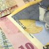 Parlamentarii au votat bugetul pe 2014 mai repede decat o tranzactie la bancomat