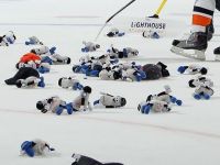 Hochei: peste 25.000 de ursuleti de plus, aruncati pe gheata, la un meci in Calgary