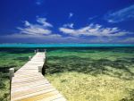 Jamaica a deschis prima companie de marijuana medicala