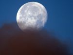 Legume si fructe, cultivate pe Luna si pe Marte